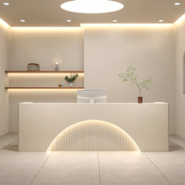 (In Stock) Fully  Assembled LED Salon Reception Desk  with Storage JDT-1039